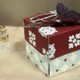 Xmasbox_1